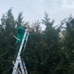 Kertgondozás, kert fenntartás, parkfenntartás, Sövénynyírás, sövény karbantartás, sövény ápolás, Baranya, Tolna, Somogy, Budapest, Pest vármegye, Meliva Garden