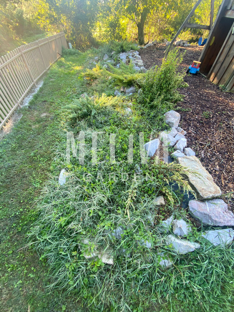 Sziklakert elburjánzott, Pécs, Újhegy, Meliva Garden