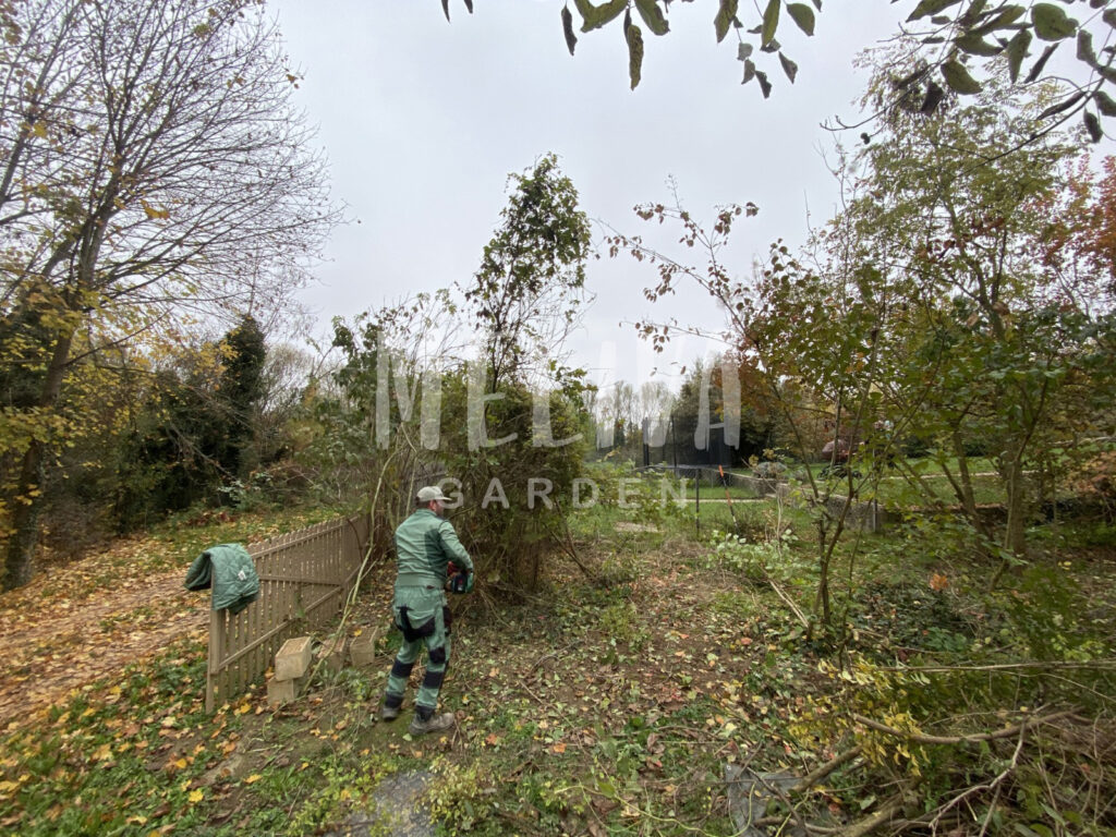 Gaz eltávolítása, gazmentesítés, Budapest, Pest megye, Somogy, Baranya, Tolna, Meliva Garden