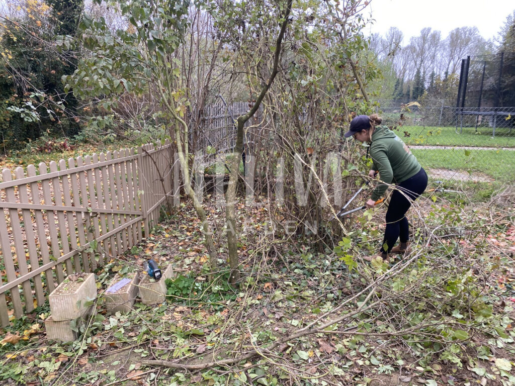 Gaz eltávolítása, gazmentesítés, Somogy, Baranya, Tolna, Budapest, Pest megye, Meliva Garden