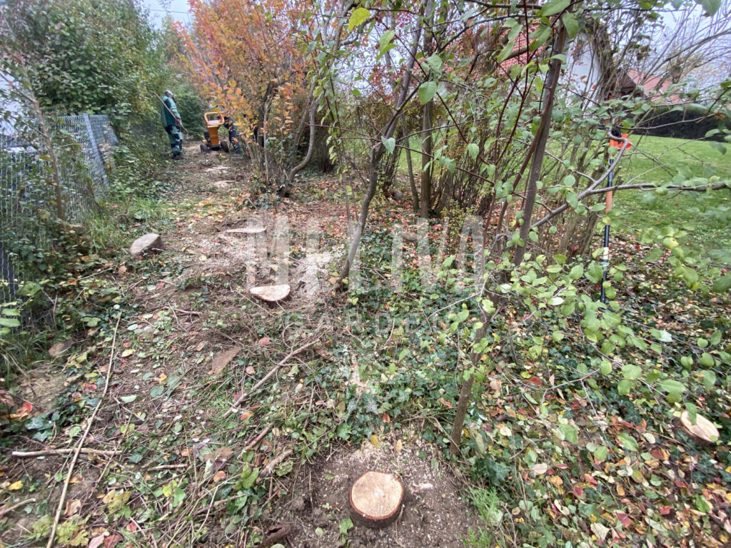 Gazmentesítés, Bóly, kertritkítás, Meliva Garden