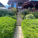 rólunk, Kertgondozás, Pécs, Baranya, Tolna, Somogy, Meliva Garden