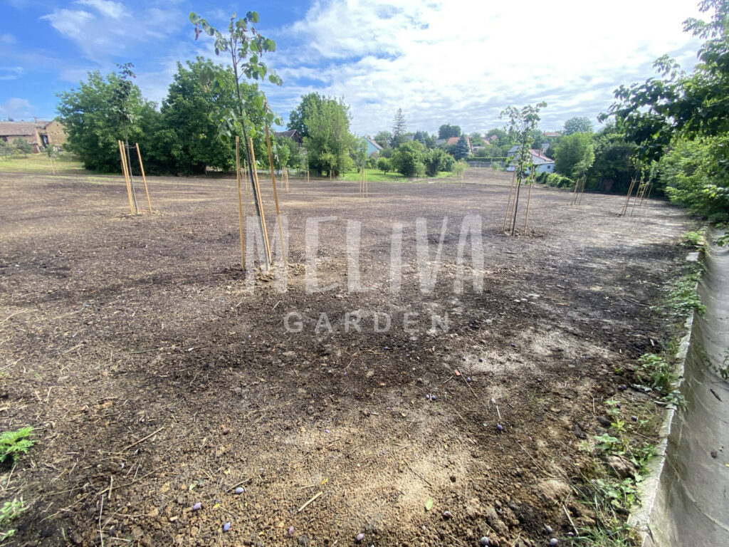 Markolós, Baranya, Tolna, Somogy, profi kertrendezés, Meliva Garden