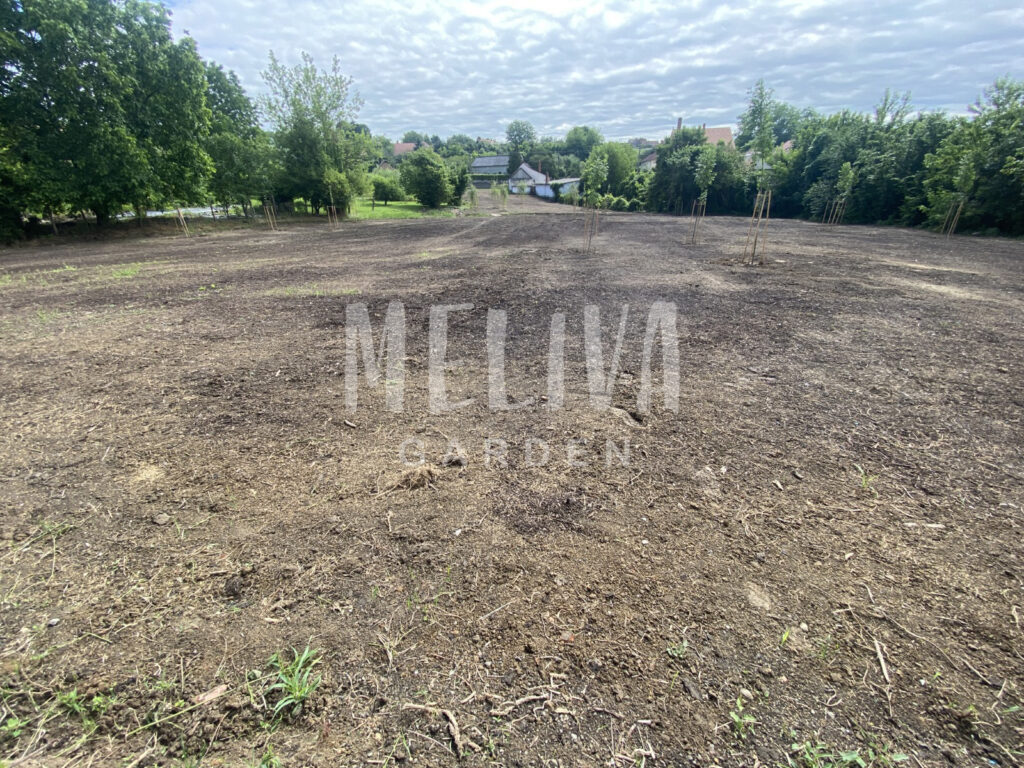 Pécs, földmunka, terepezés, terep kialakítás, Meliva Garden