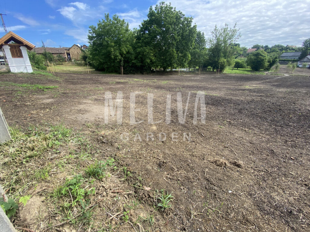 Pécs, földmunka, terepezés, terep kialakítás, Meliva Garden