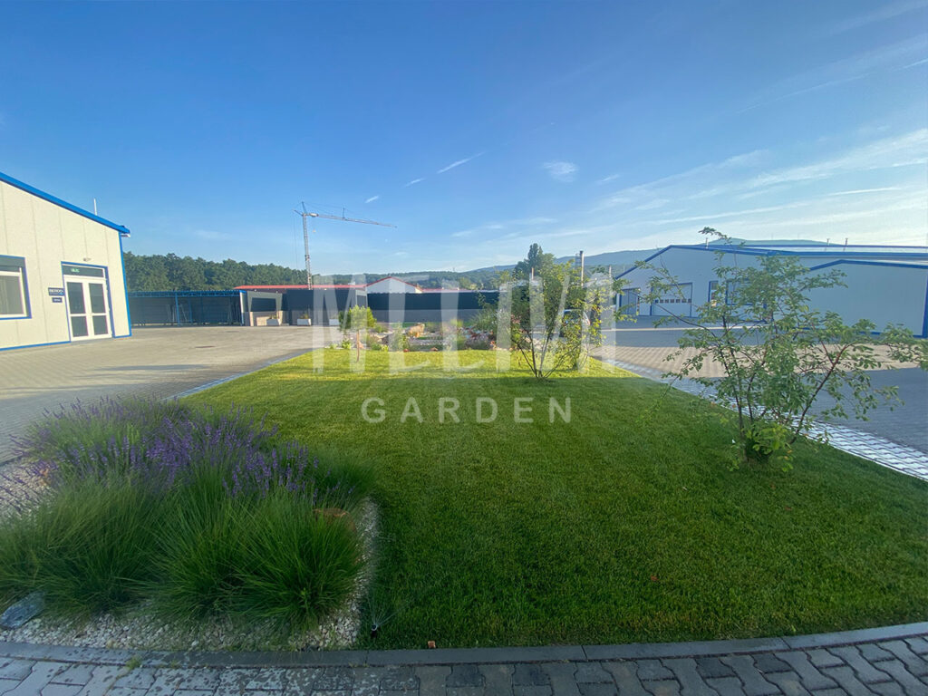 Profi kertépítő Pécs, Baranya, Tolna, Somogy, Budapest, Pest, Meliva Garden, szép kert