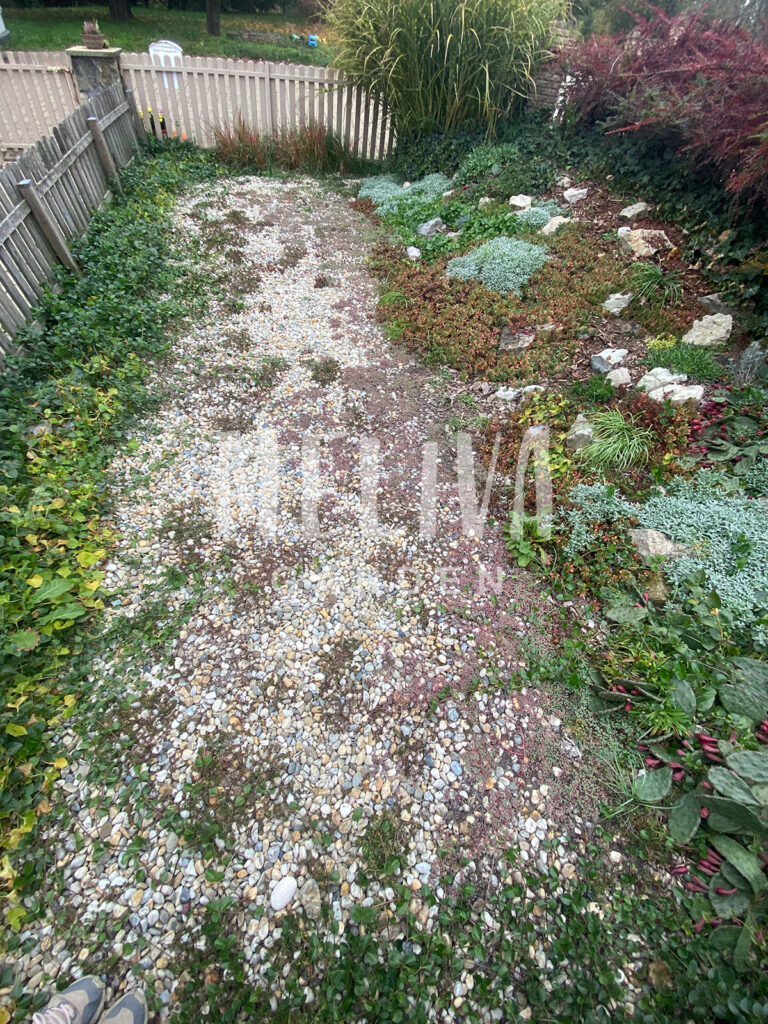 Pince feletti terület rendezése, Meliva Garden