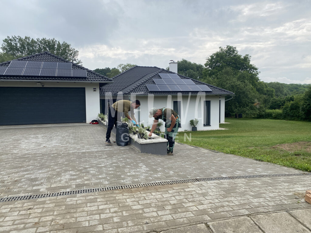 Növényültetés, kerttervezés, kertépítés, Pécs, Baranya, Tolna, Somogy, Meliva Garden