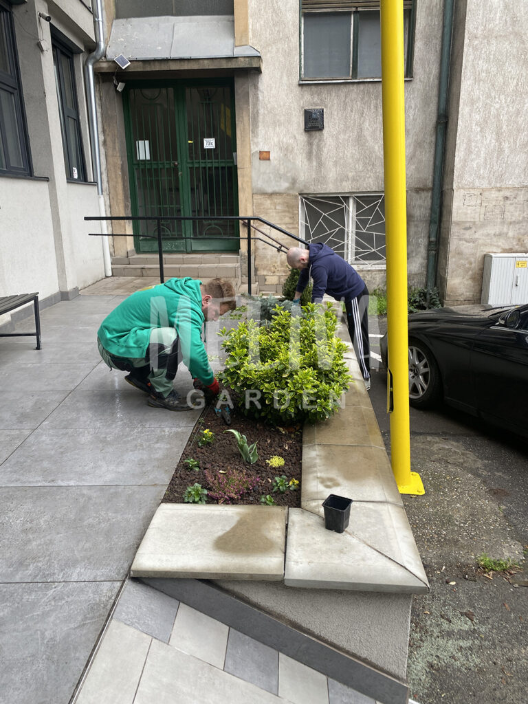 Növényültetés, R73 szálloda, Pécs, Meliva Garden