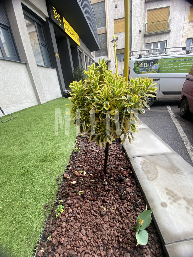 R73 szálloda kertgondozás Pécs