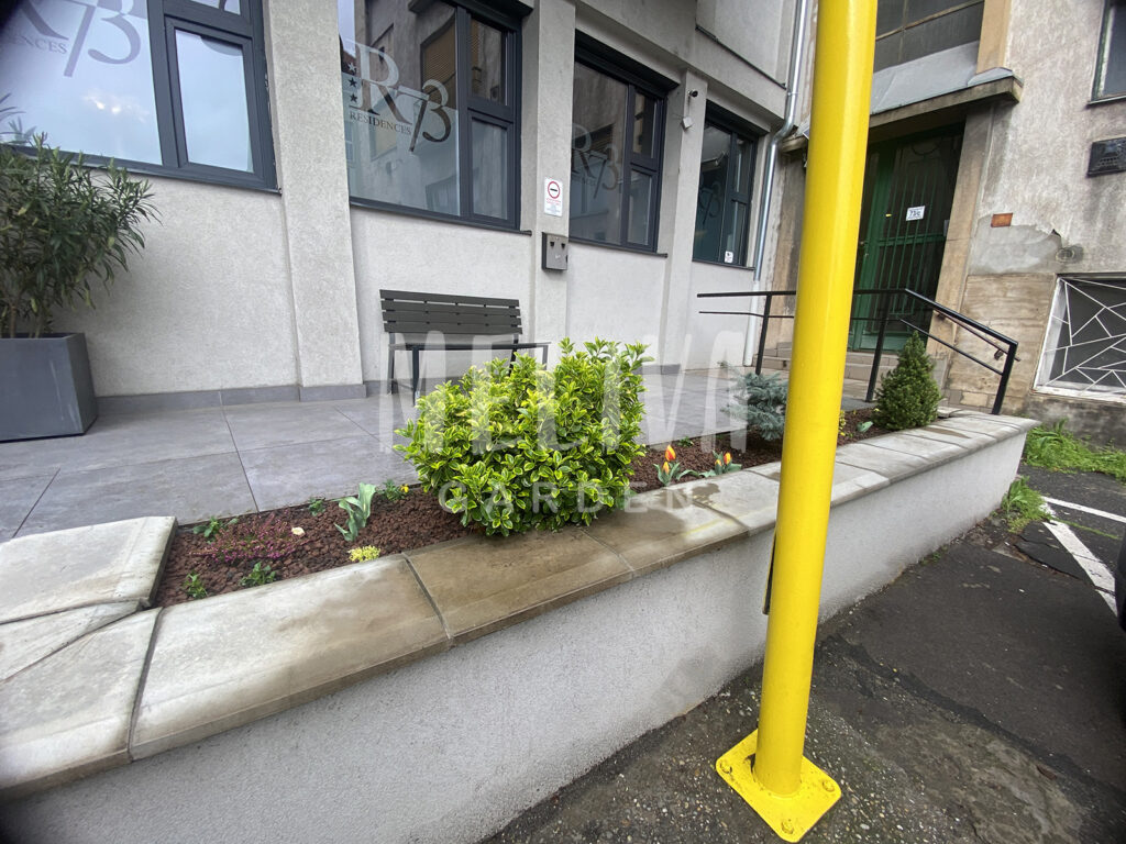 Kertgondozás, növényültetés Pécs