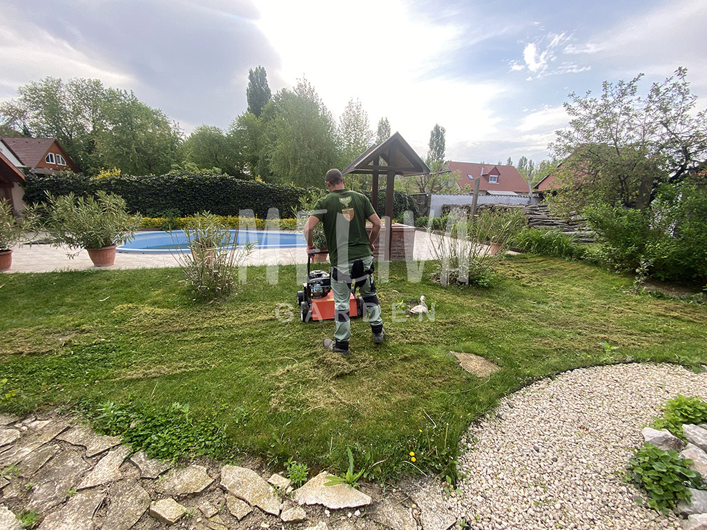 Gyepszellőzetés, kertgondozás, referencia munka Villány, Meliva Garden, 2025