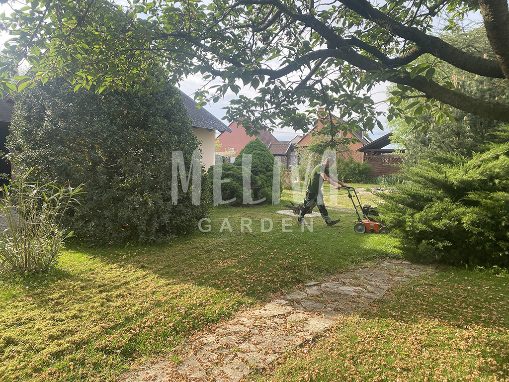 Gyepszellőzetés, kertgondozás, referencia munka Villány, Meliva Garden, 2025