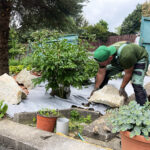 Geotextília alkalmazása fenyőmulccsal, kertgondozás Pécs, Meliva Garden